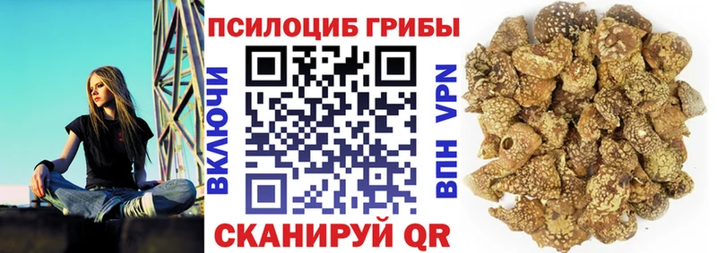 цены Сертолово Галлюциногенные грибы MAGIC MUSHROOMS